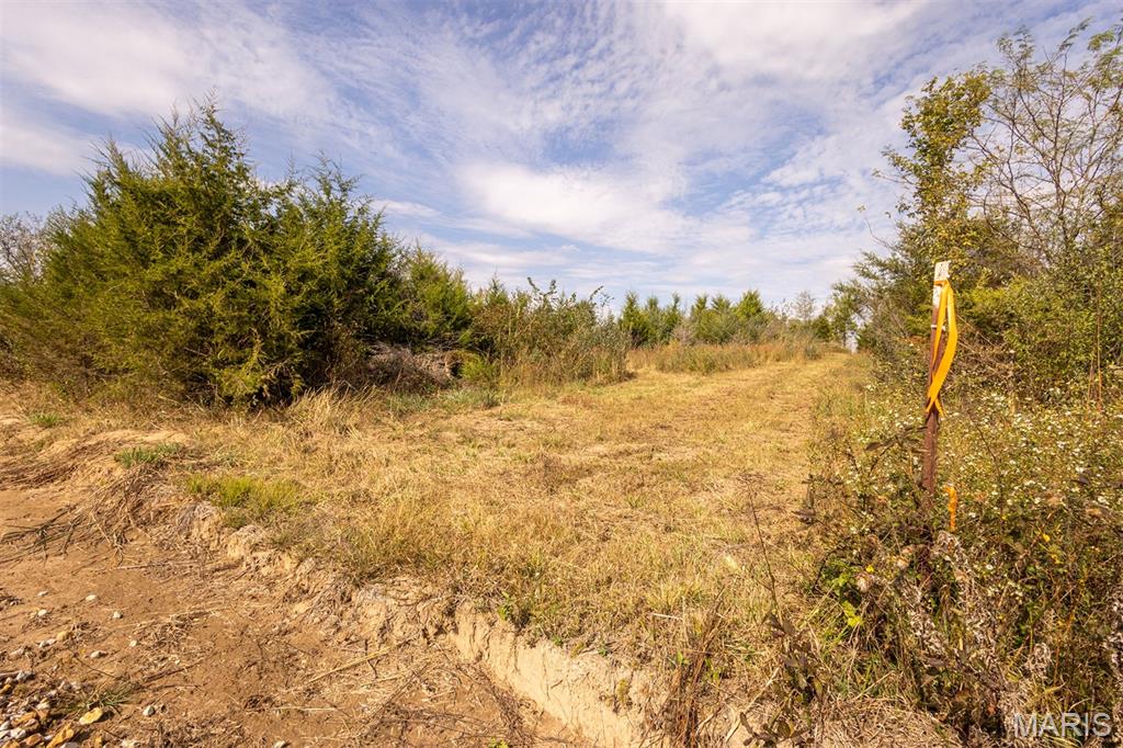 Lot 7 Washington Property Photo 1