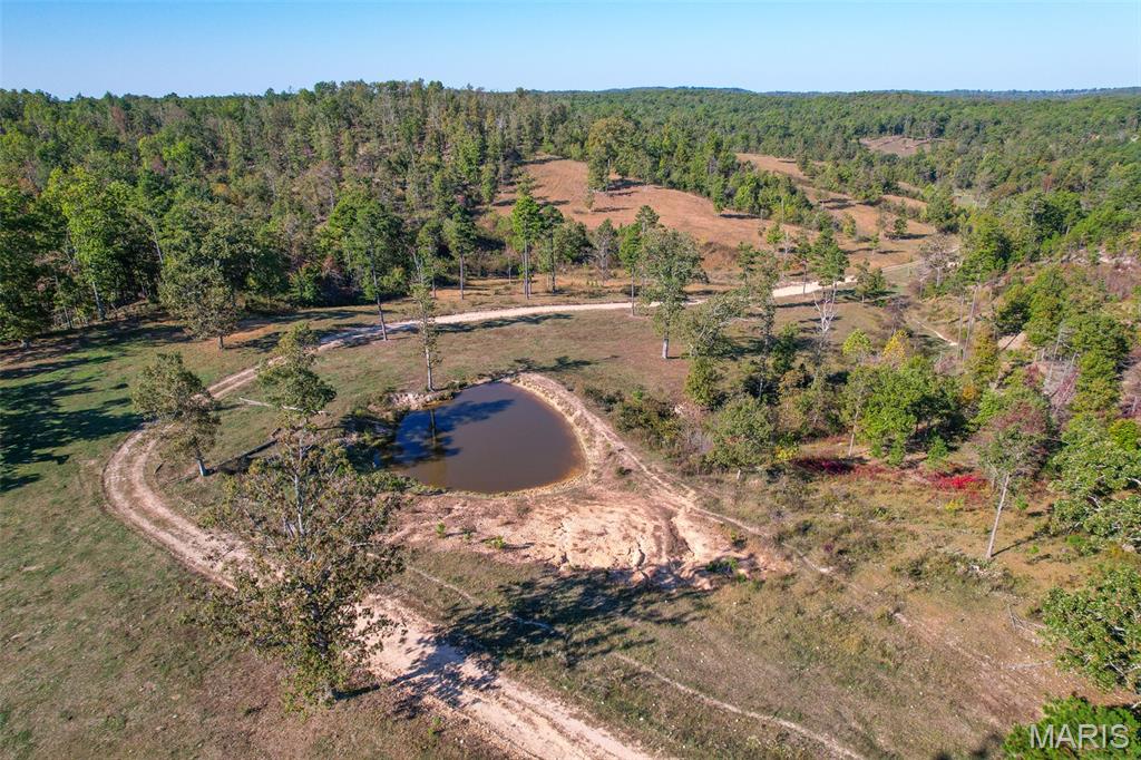 0 County Road 1130 Property Photo 4