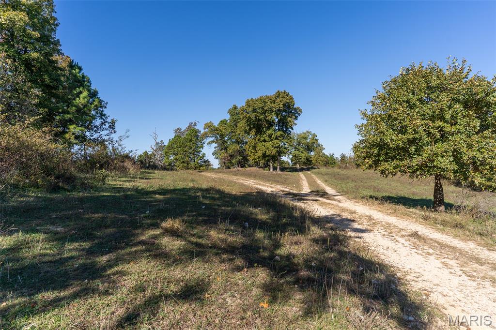 0 County Road 1130 Property Photo 9