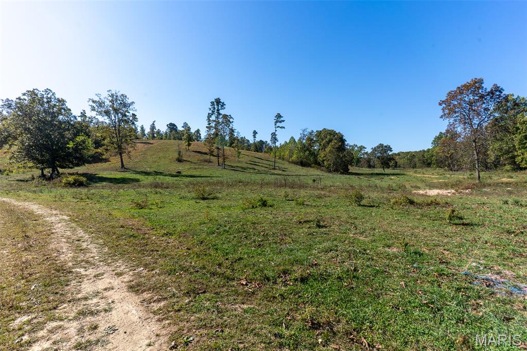 0 County Road 1130 Property Photo 15