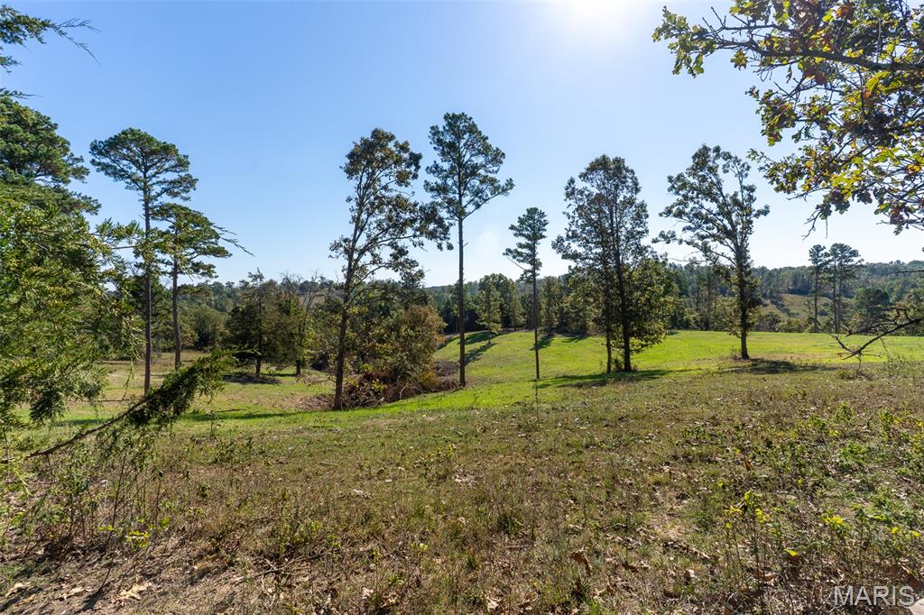 0 County Road 1130 Property Photo 17