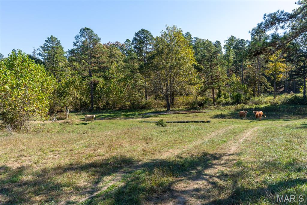 0 County Road 1130 Property Photo 18