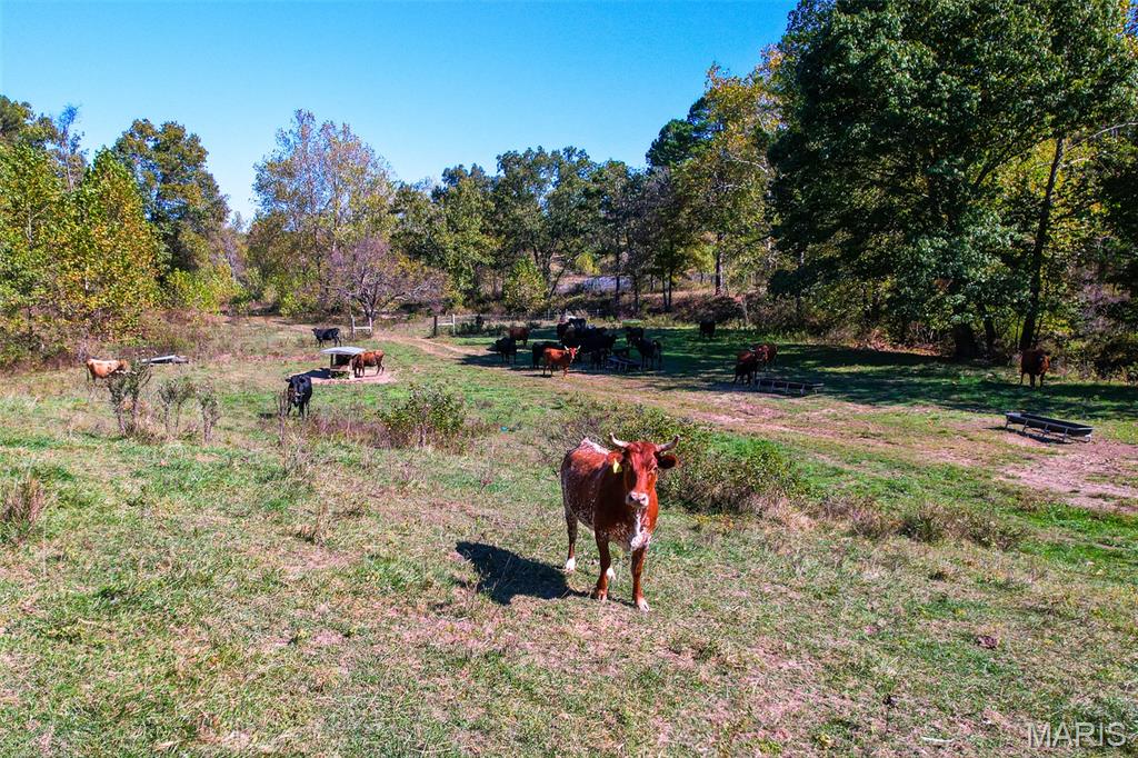 0 County Road 1130 Property Photo 25