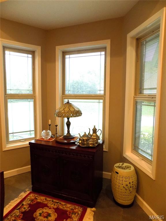 1011 Carriage Lane Property Photo 14
