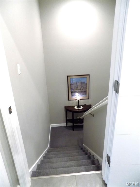1011 Carriage Lane Property Photo 53