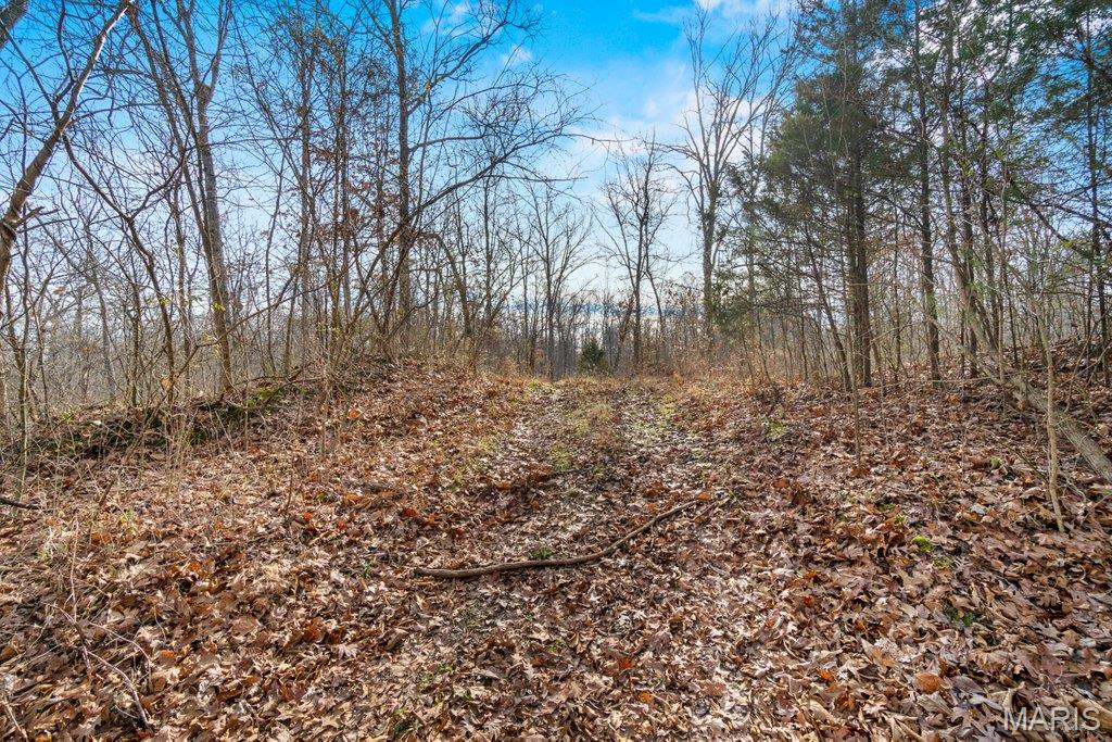 555 Morning Star Circle Property Photo 80