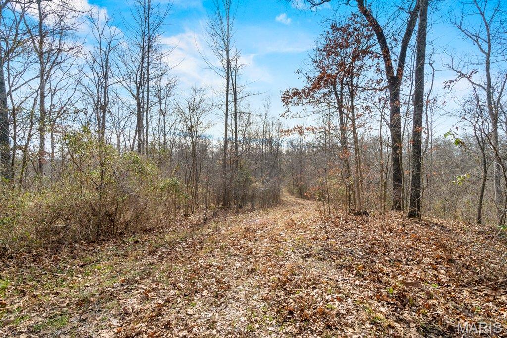 555 Morning Star Circle Property Photo 81