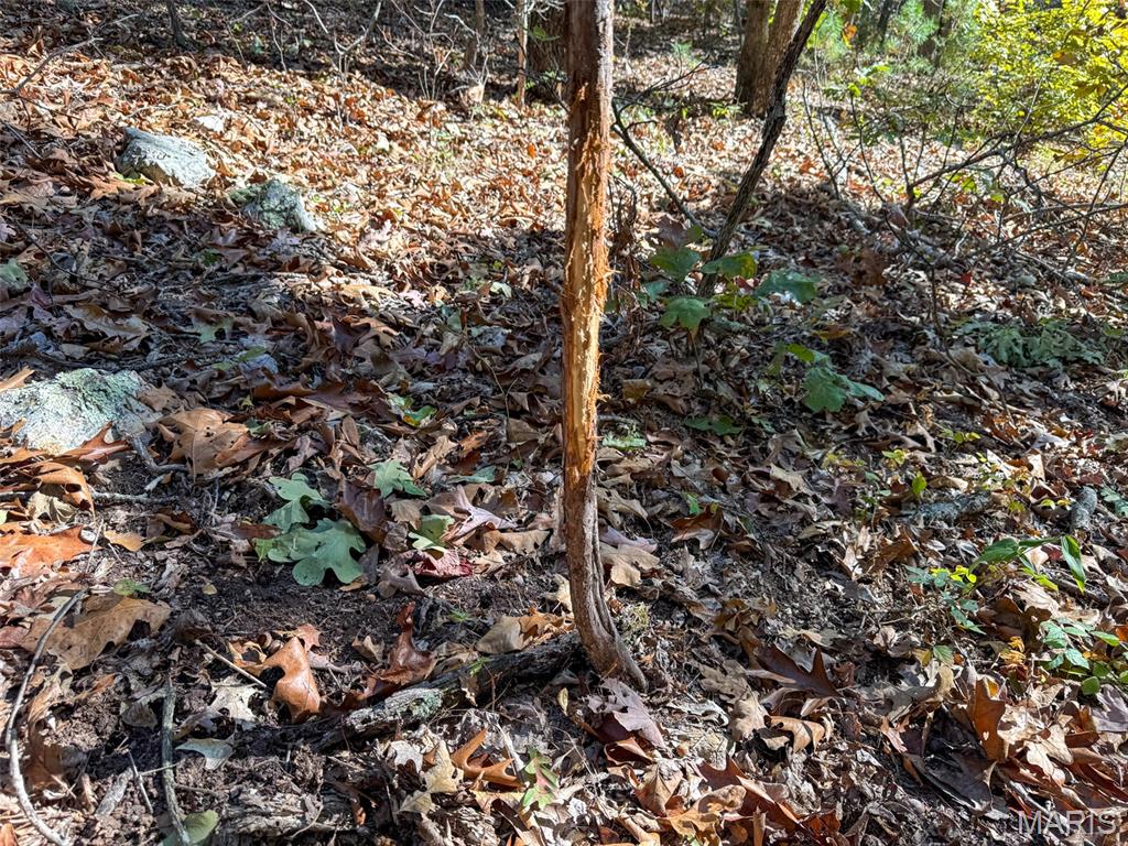 0 Delpark Road Property Photo 1