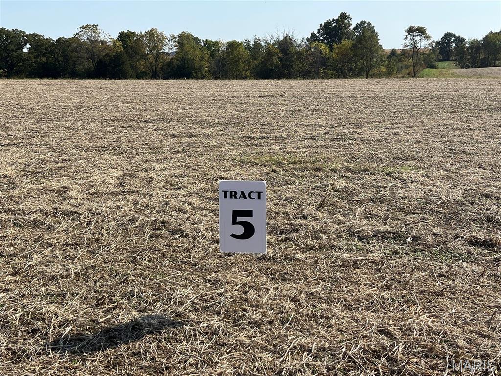 0 Lot 5 Linda Lane Property Photo 1