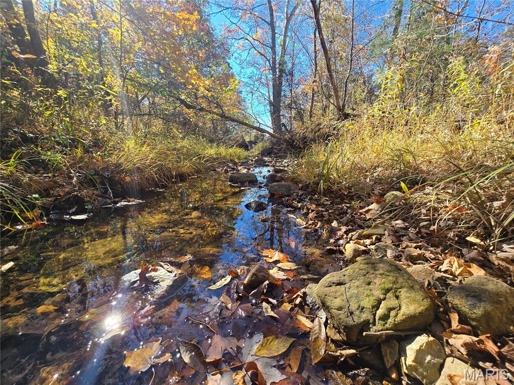 42 Highway 32 Property Photo 1