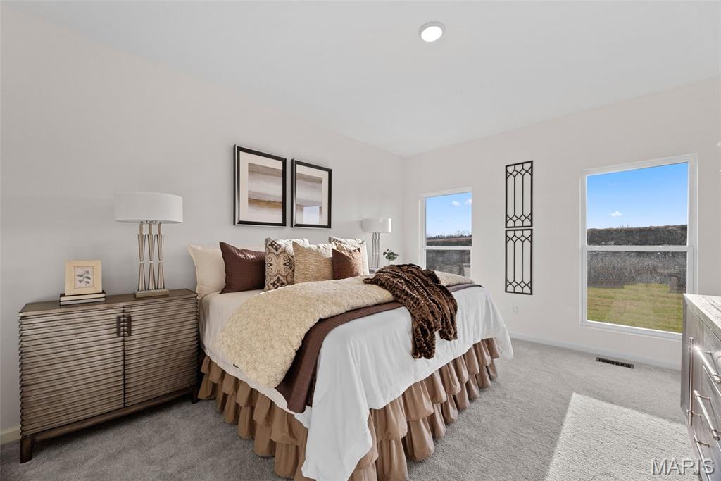 1 Tbb Savoy Arlington Heights Property Photo 15