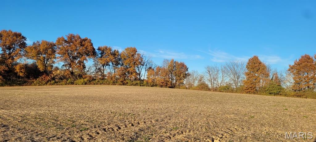 25074943 Property Photo 12