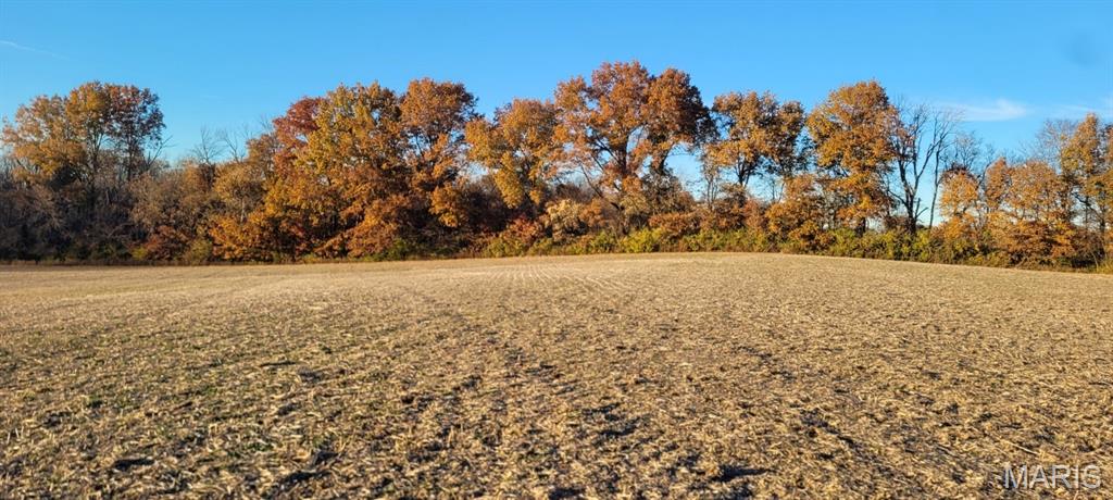 25074943 Property Photo 14