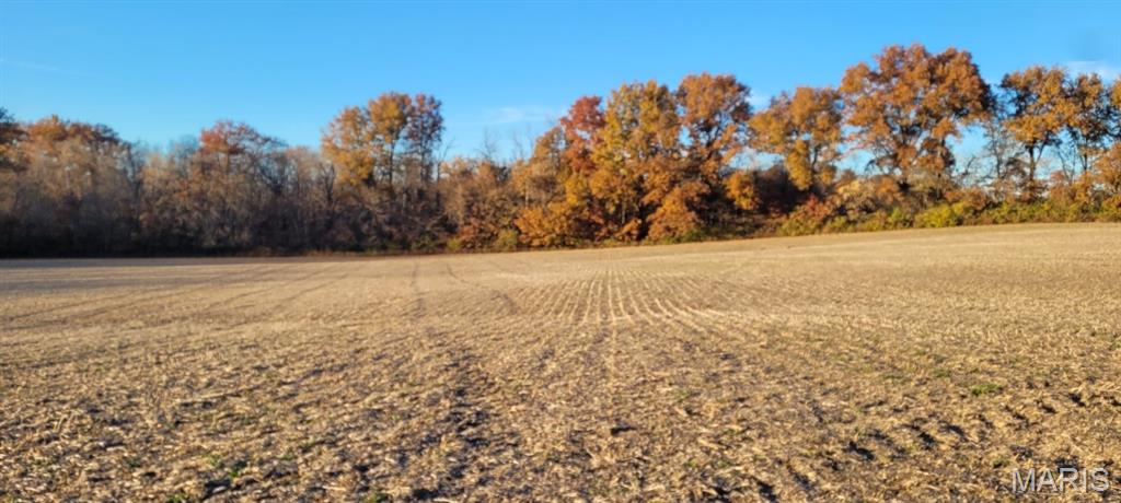 25074943 Property Photo 15