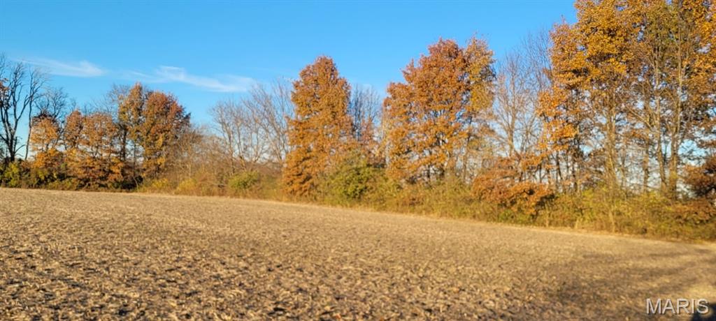 25074943 Property Photo 20