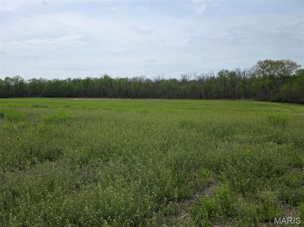 25074943 Property Photo 25