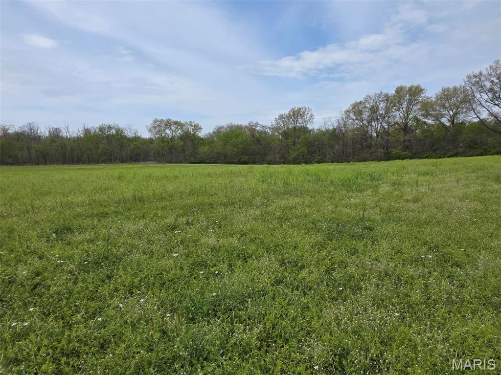 25074943 Property Photo 26