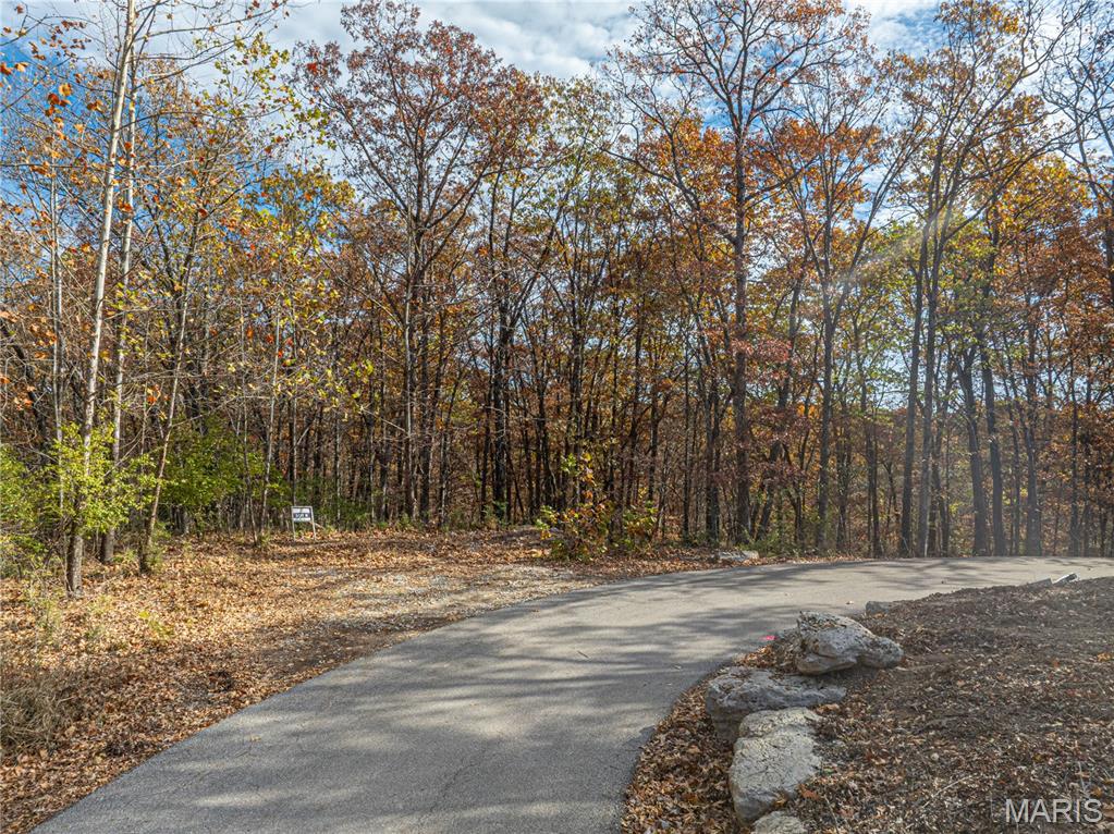 19005 Old Wild Turkey Lane Property Photo 2