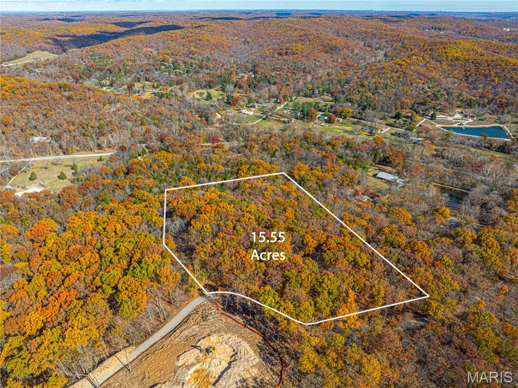 19005 Old Wild Turkey Lane Property Photo 3