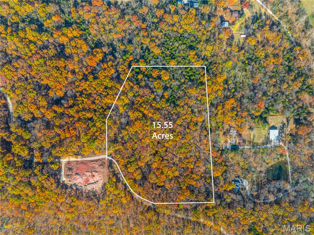 19005 Old Wild Turkey Lane Property Photo 4