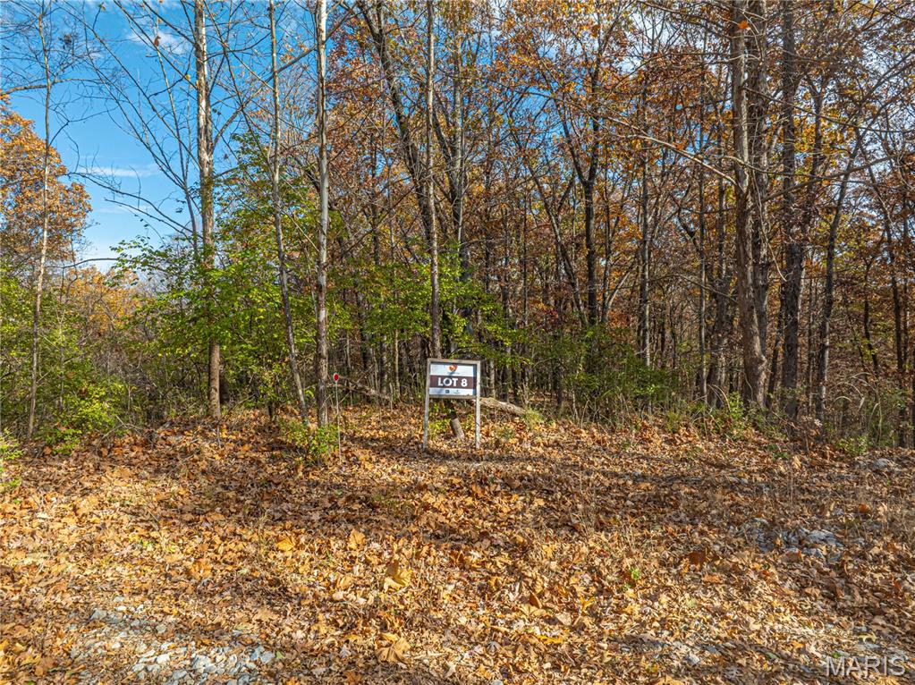 19005 Old Wild Turkey Lane Property Photo 8
