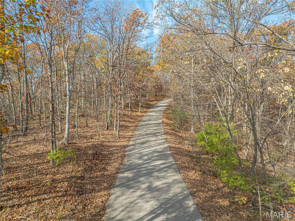 19005 Old Wild Turkey Lane Property Photo 9