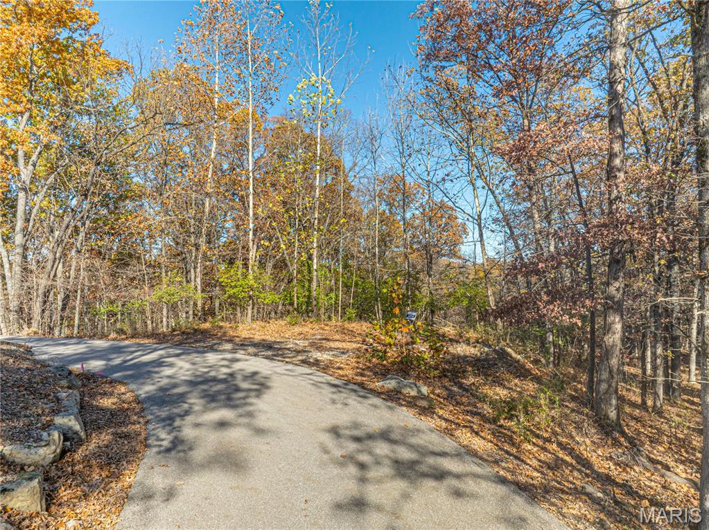 19005 Old Wild Turkey Lane Property Photo 11
