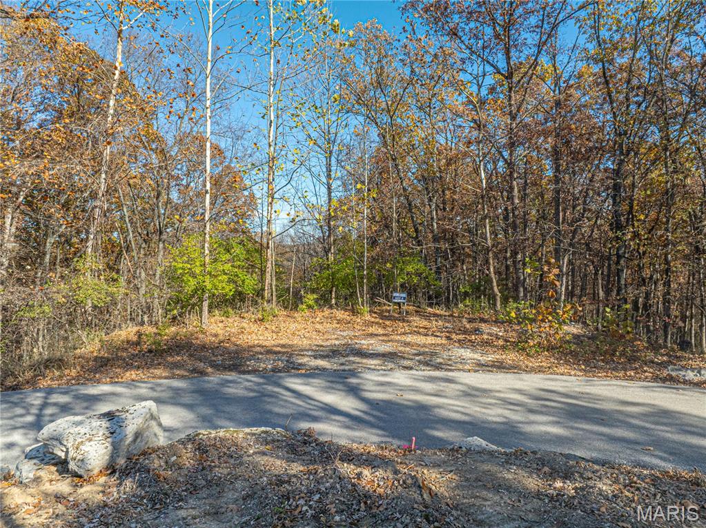 19005 Old Wild Turkey Lane Property Photo 12