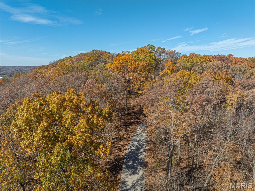 19005 Old Wild Turkey Lane Property Photo 13
