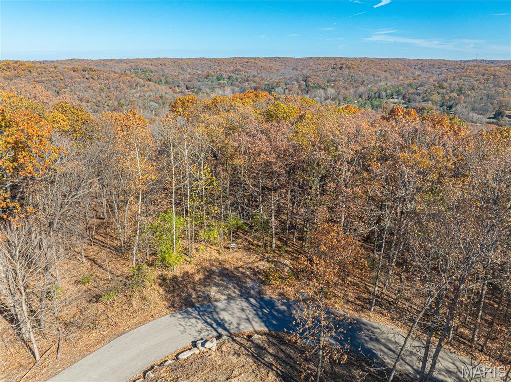 19005 Old Wild Turkey Lane Property Photo 14