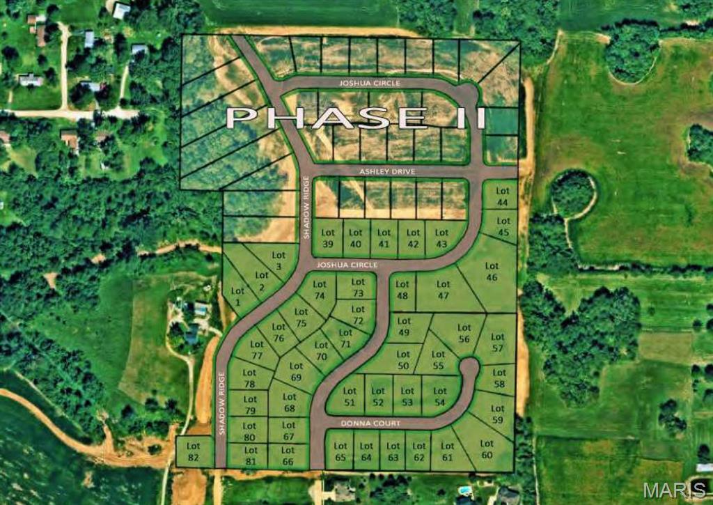 Lot 44 Joshua/ashley Dr Property Photo 3