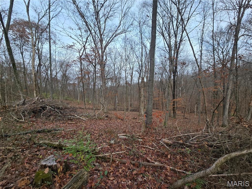 499 Sunset Echo Road Property Photo 2
