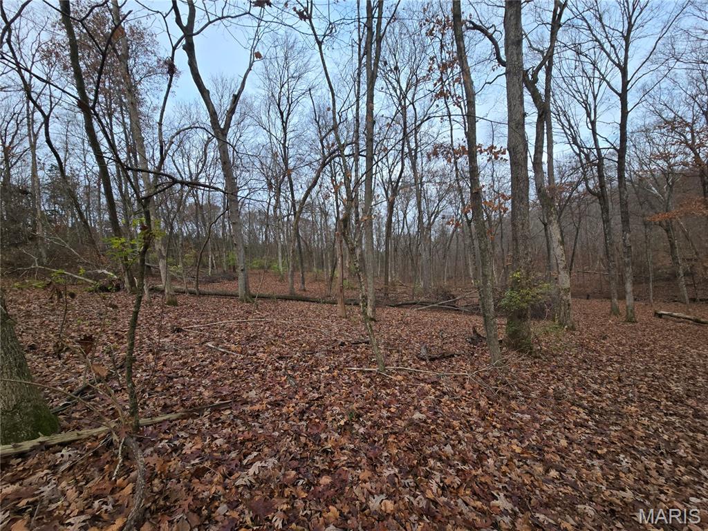 499 Sunset Echo Road Property Photo 3