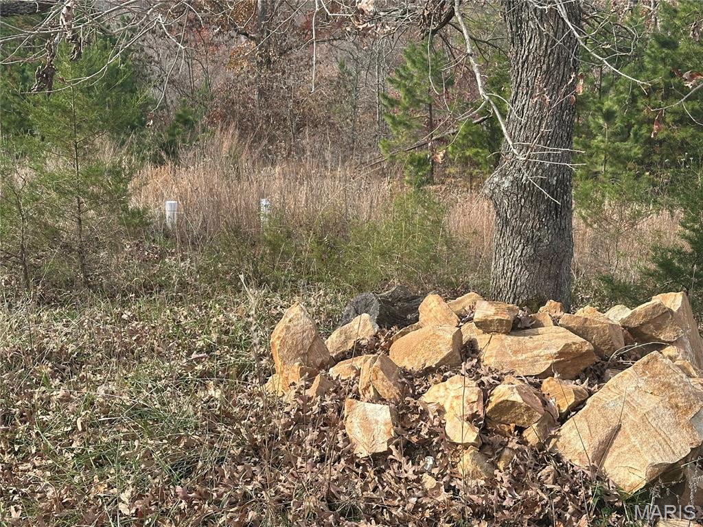 4330 Highway Y Property Photo 7