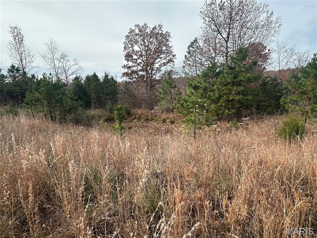 4330 Highway Y Property Photo 10