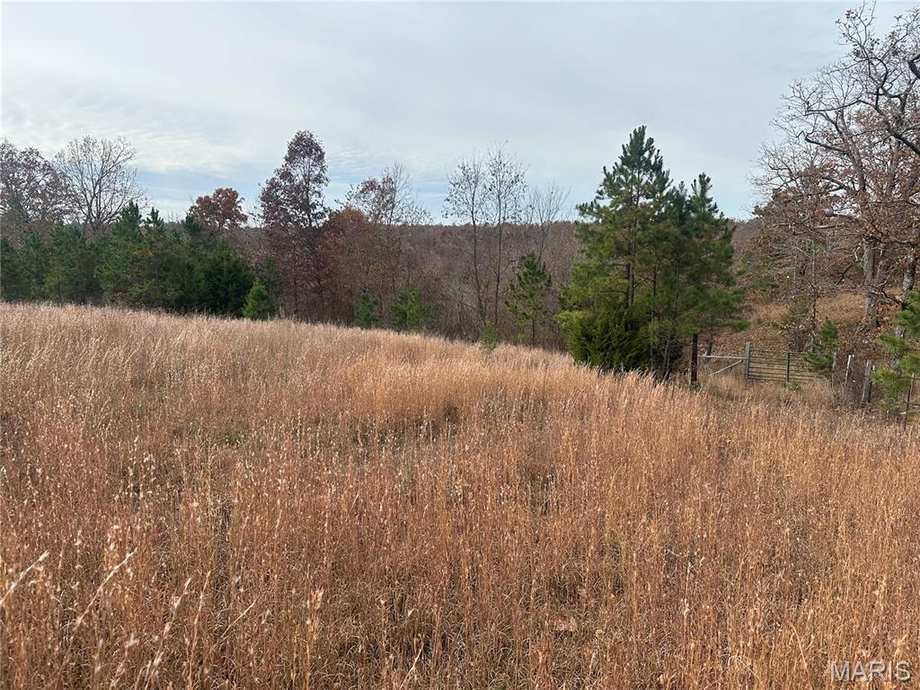 4330 Highway Y Property Photo 19