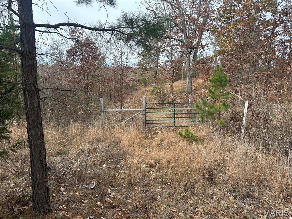 4330 Highway Y Property Photo 20