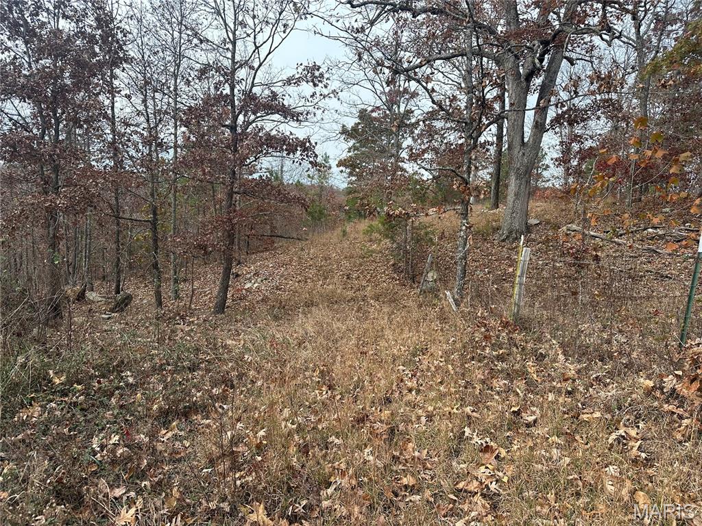 4330 Highway Y Property Photo 22