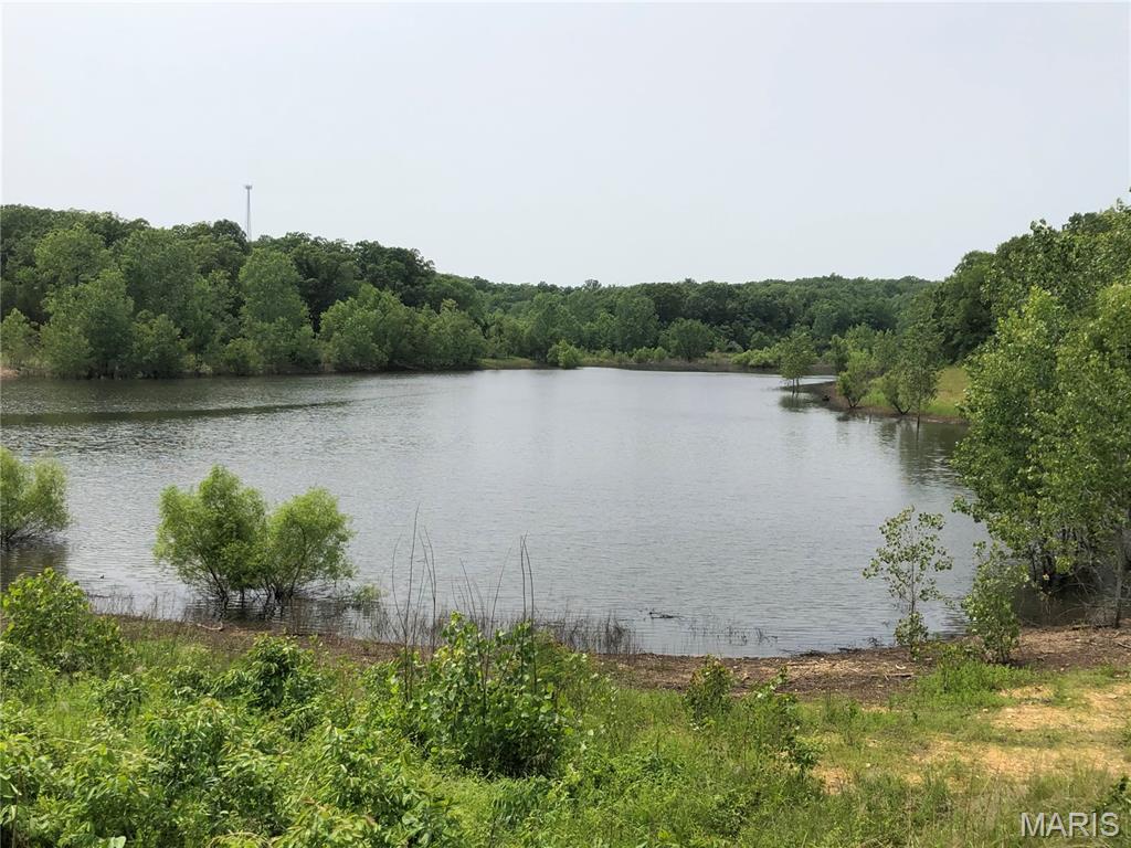 0 State Route 21 Property Photo 4