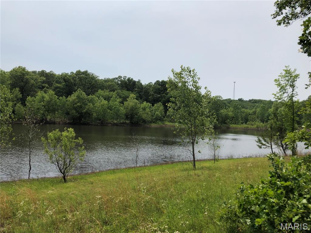 0 State Route 21 Property Photo 5