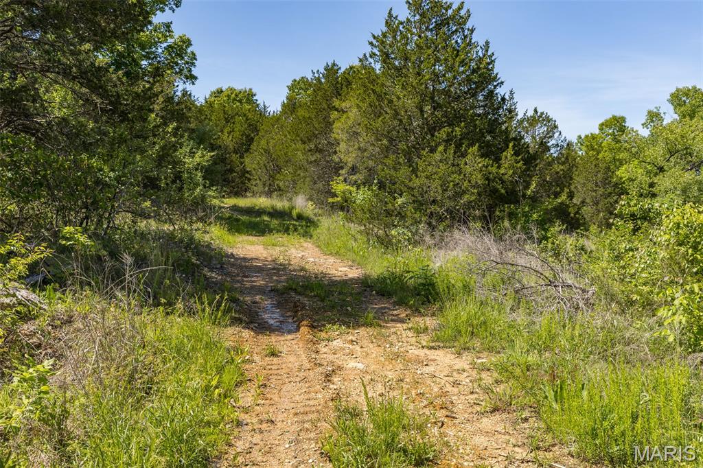 0 State Route 21 Property Photo 12