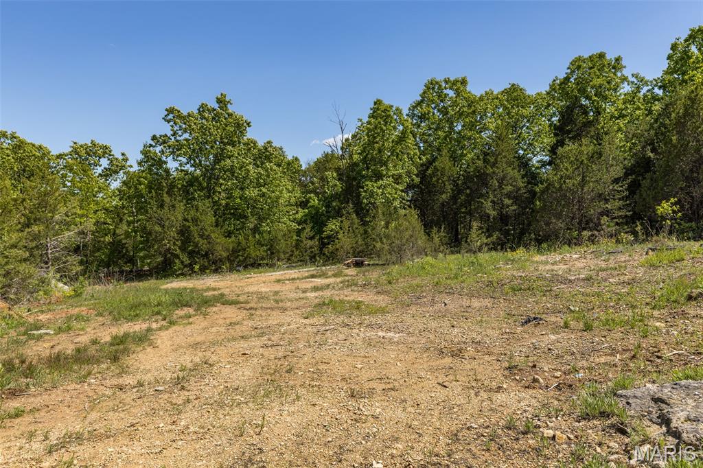 0 State Route 21 Property Photo 13