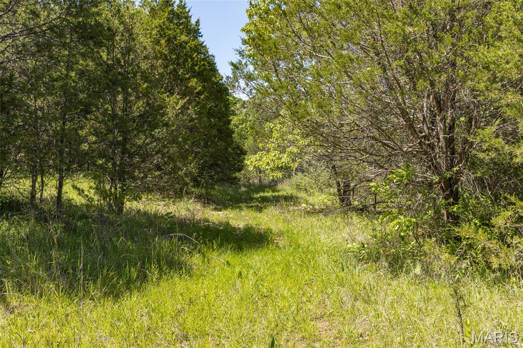 0 State Route 21 Property Photo 15