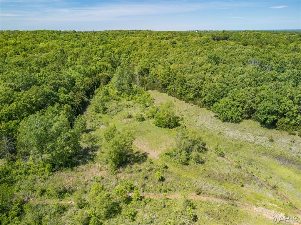 0 State Route 21 Property Photo 25