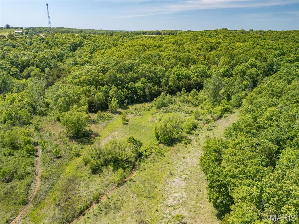 0 State Route 21 Property Photo 26