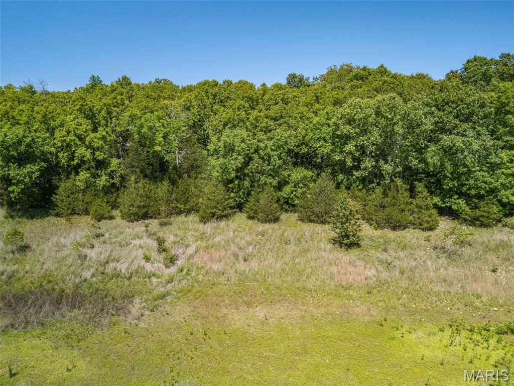 0 State Route 21 Property Photo 30