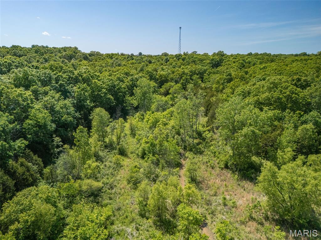 0 State Route 21 Property Photo 32