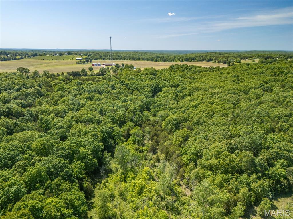 0 State Route 21 Property Photo 33