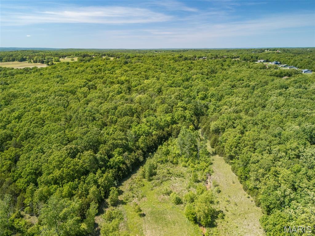 0 State Route 21 Property Photo 34