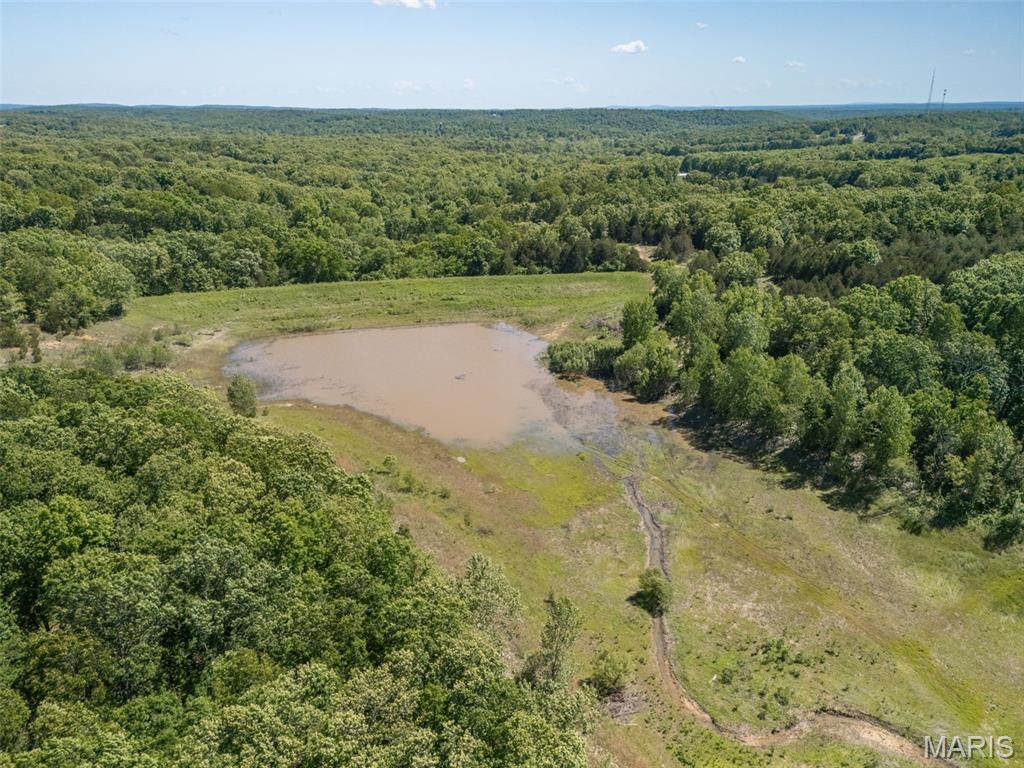 0 State Route 21 Property Photo 36